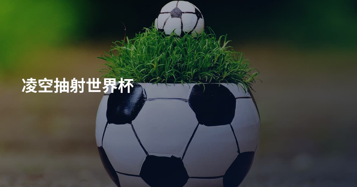凌空抽射世界杯
