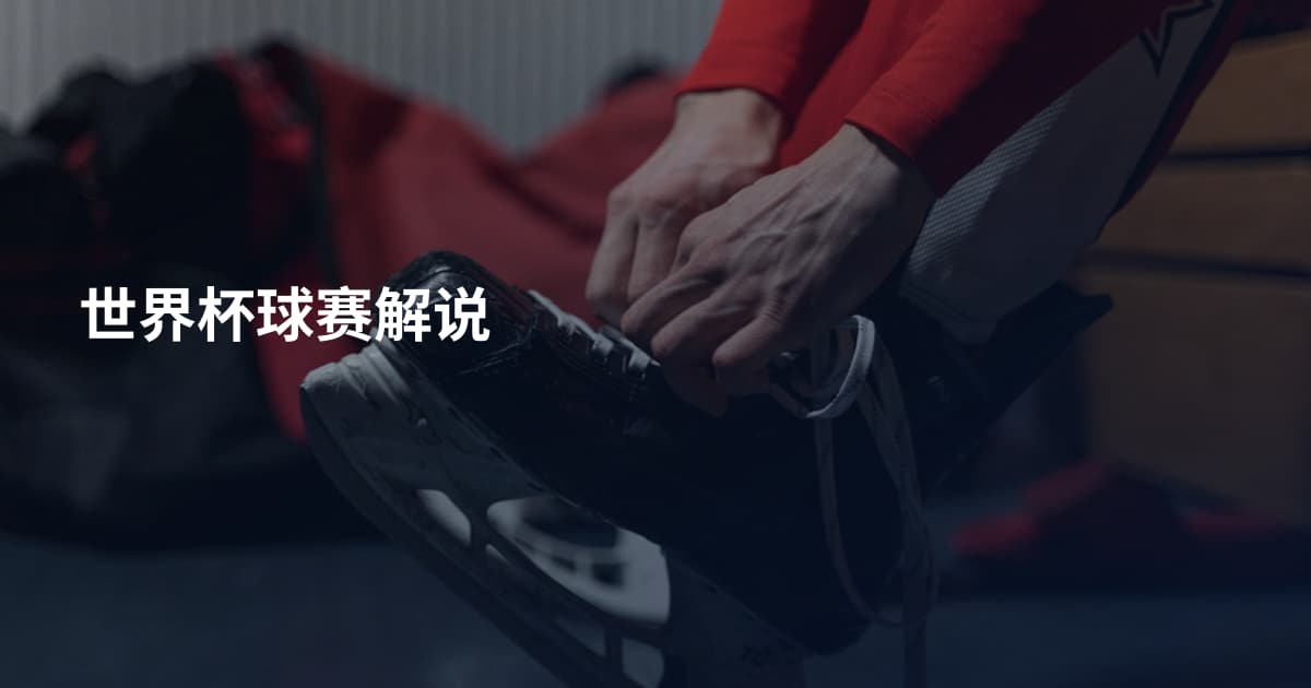 世界杯球赛解说