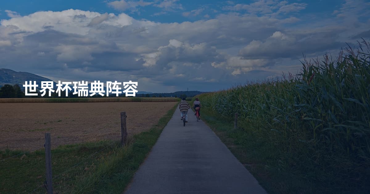 世界杯瑞典阵容