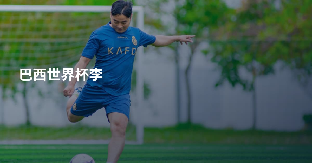 巴西世界杯李