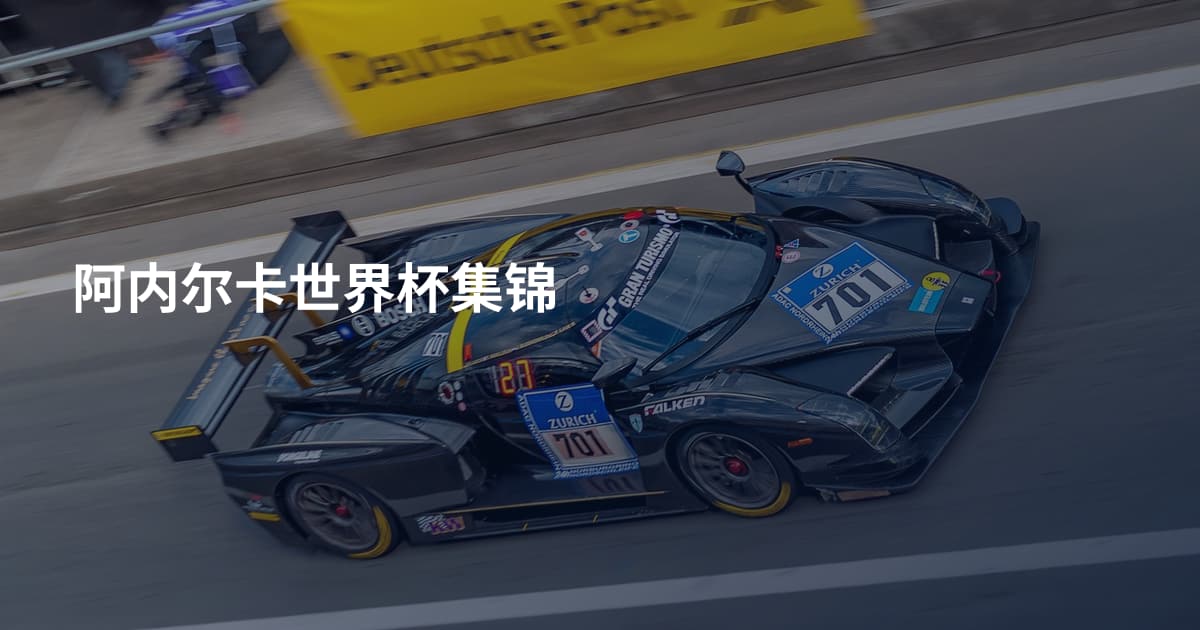 阿内尔卡世界杯集锦