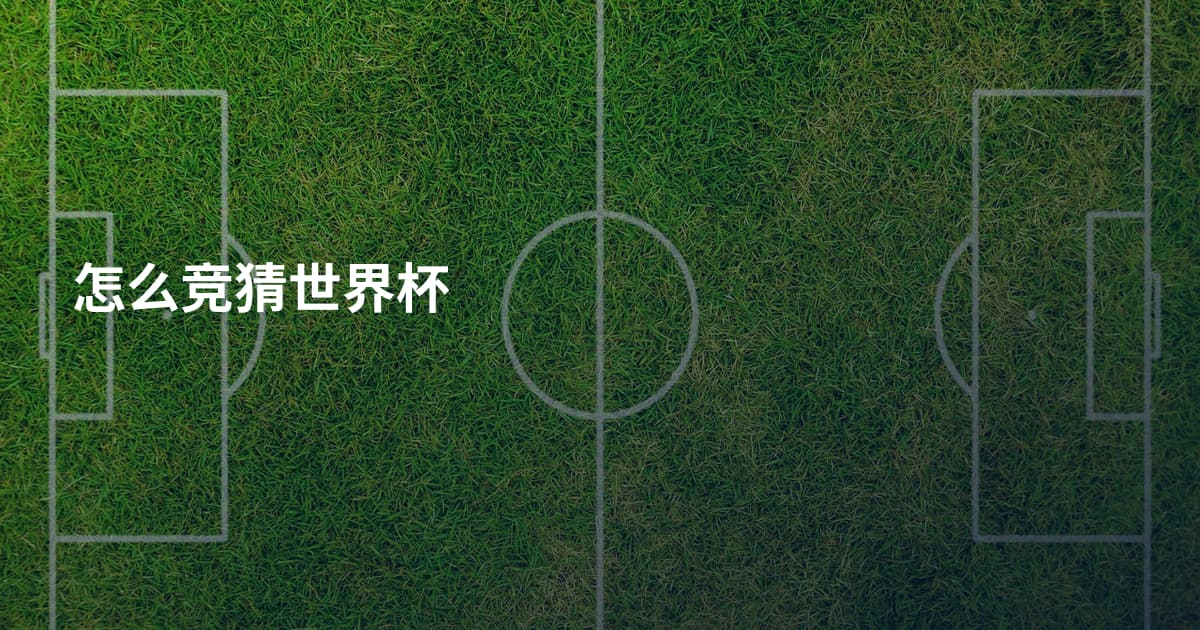 怎么竞猜世界杯