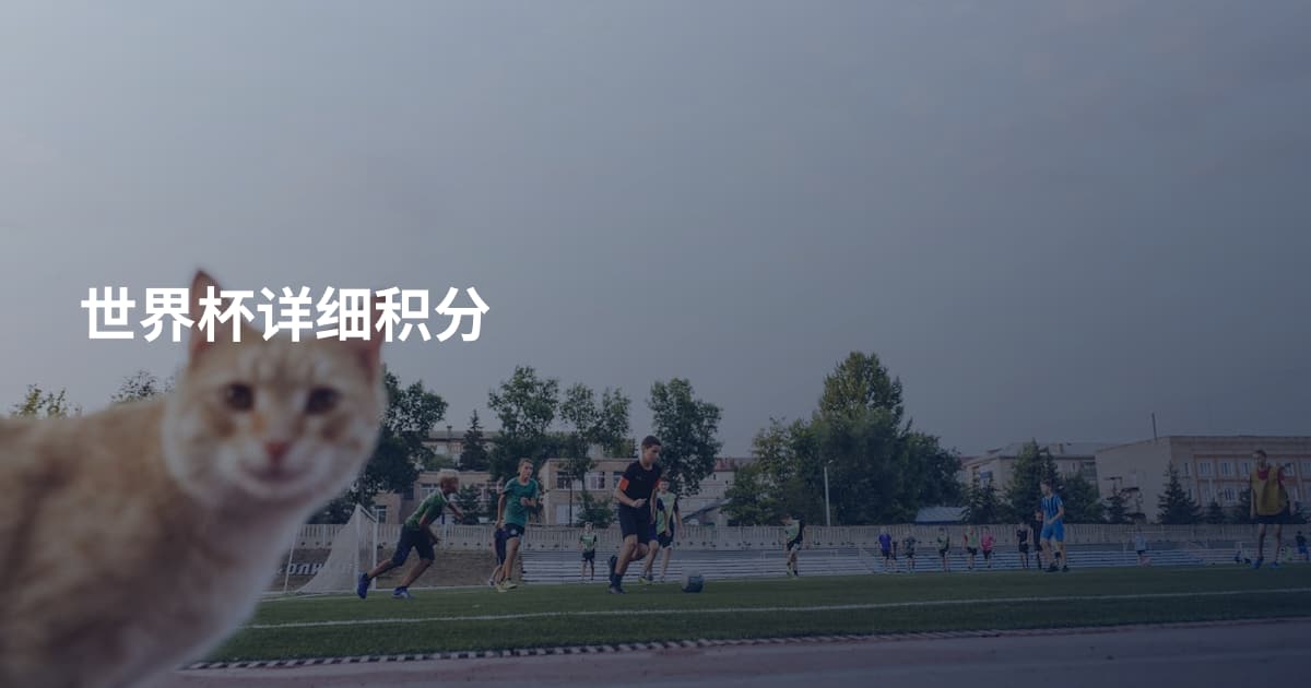 世界杯详细积分