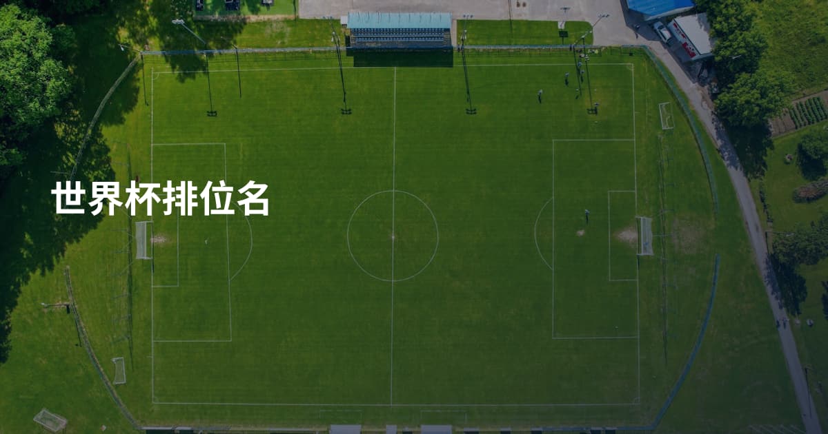 世界杯排位名