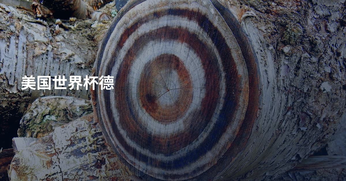 美国世界杯德