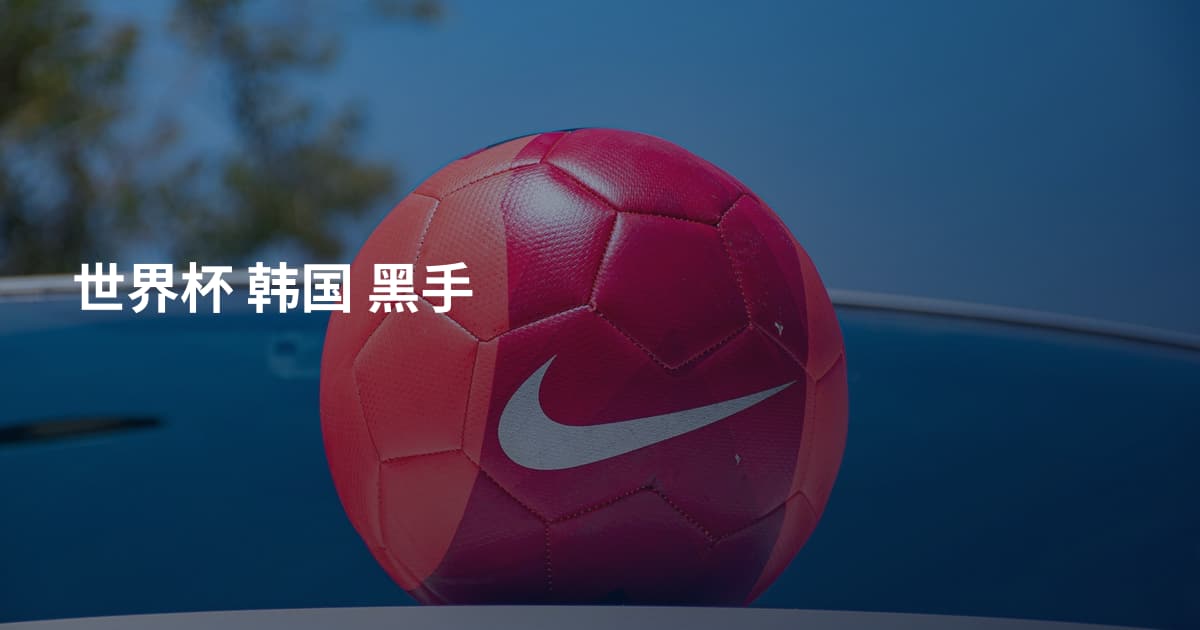 世界杯 韩国 黑手
