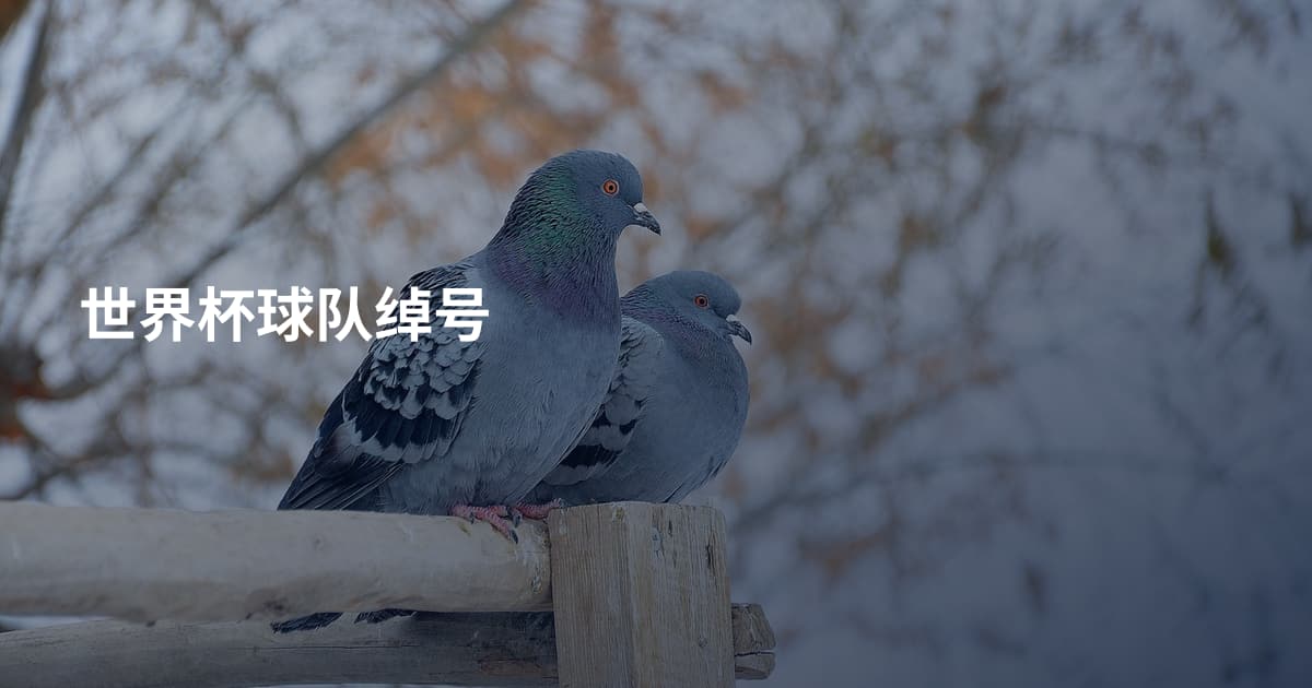 世界杯球队绰号