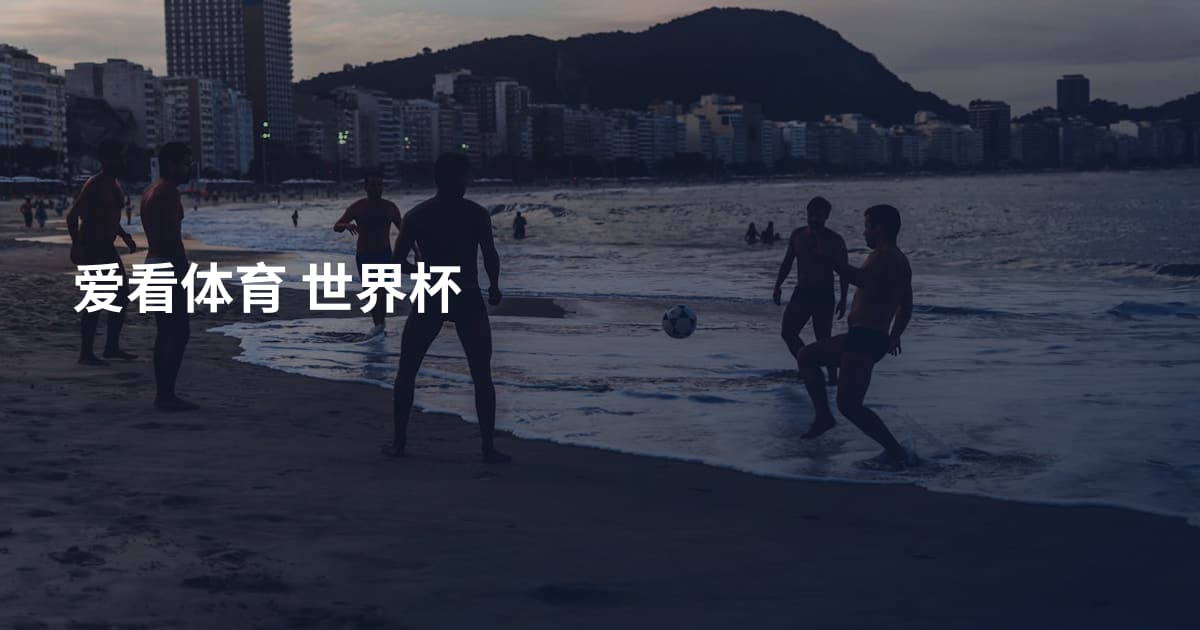 爱看体育 世界杯