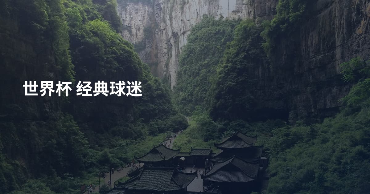世界杯 经典球迷