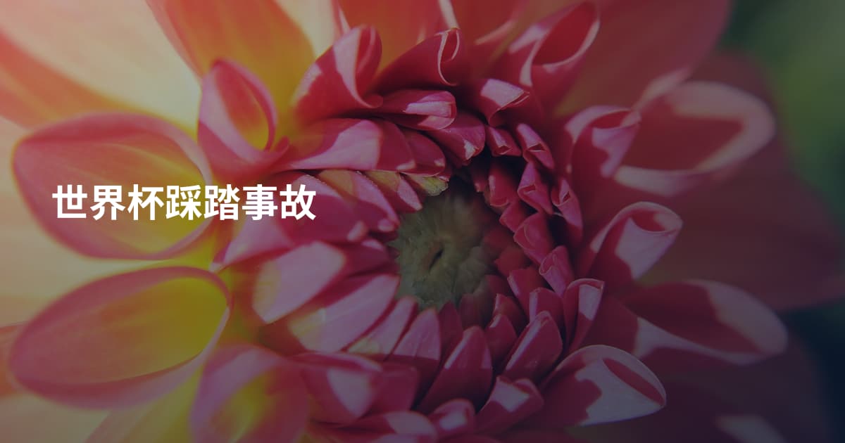 世界杯踩踏事故