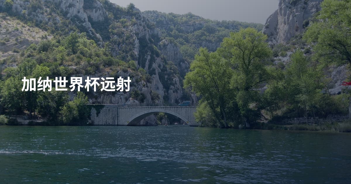 加纳世界杯远射