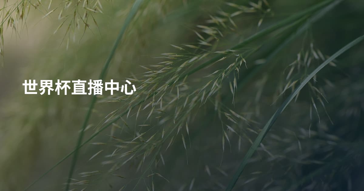 世界杯直播中心