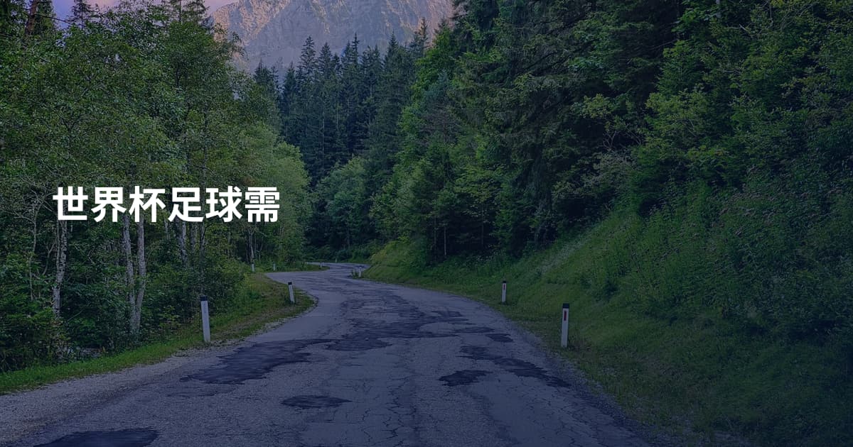 世界杯足球需