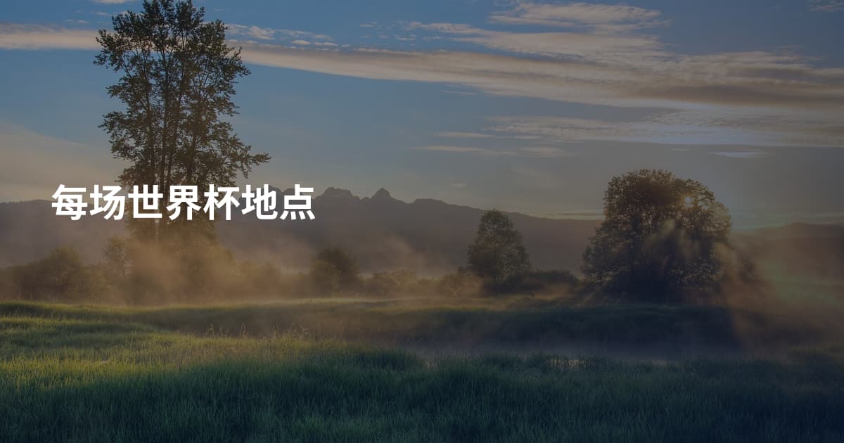 每场世界杯地点