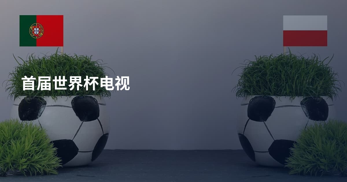 首届世界杯电视