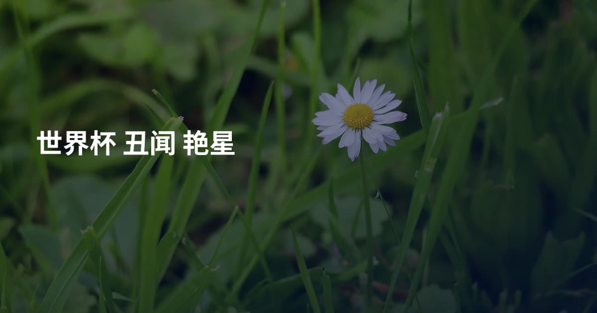 世界杯 丑闻 艳星