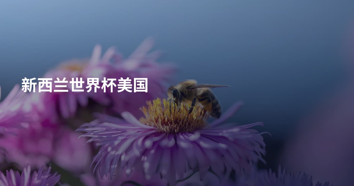 新西兰世界杯美国