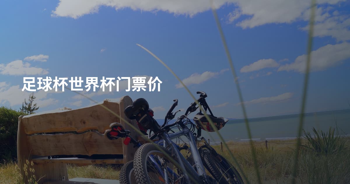 足球杯世界杯门票价