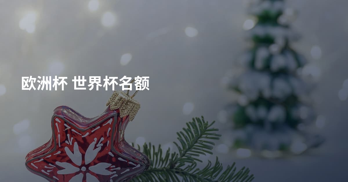 欧洲杯 世界杯名额