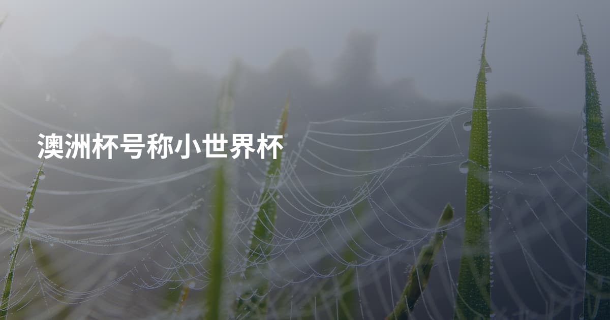 澳洲杯号称小世界杯