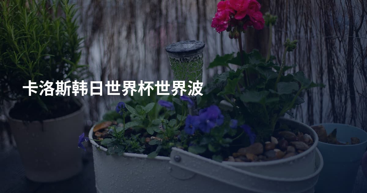 卡洛斯韩日世界杯世界波