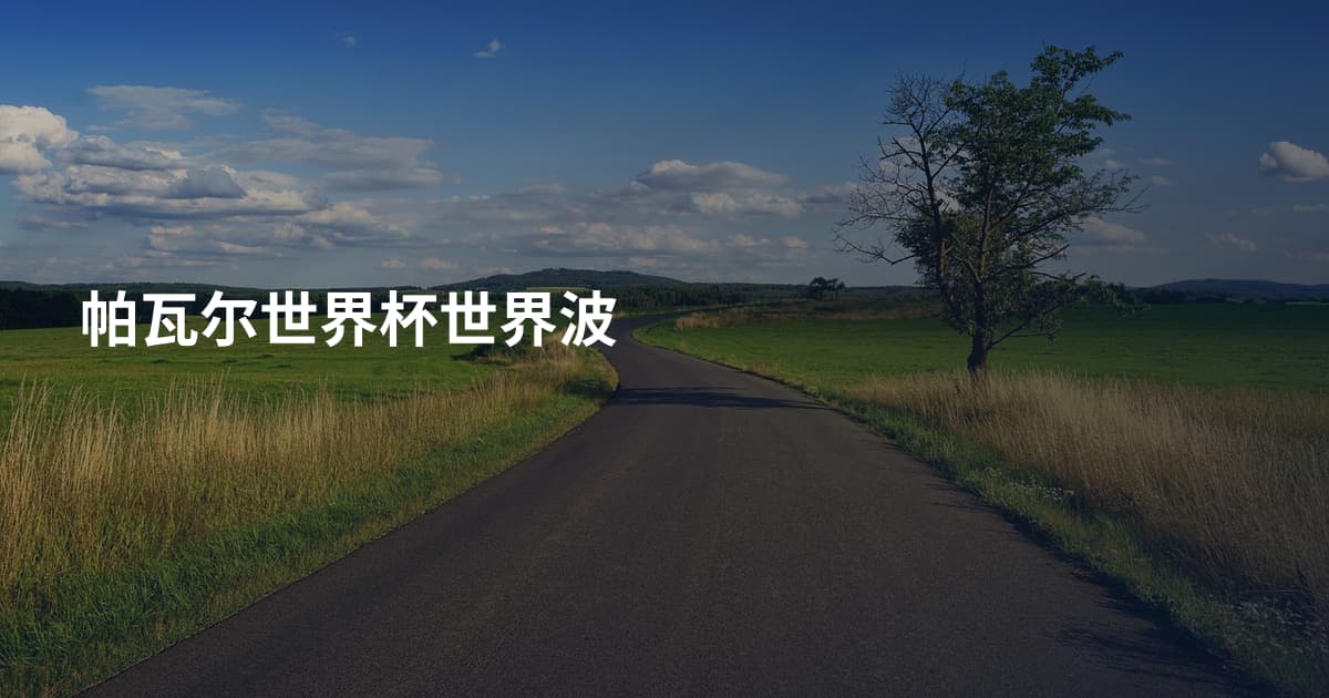 帕瓦尔世界杯世界波