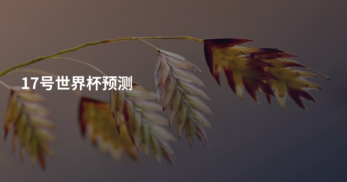 17号世界杯预测