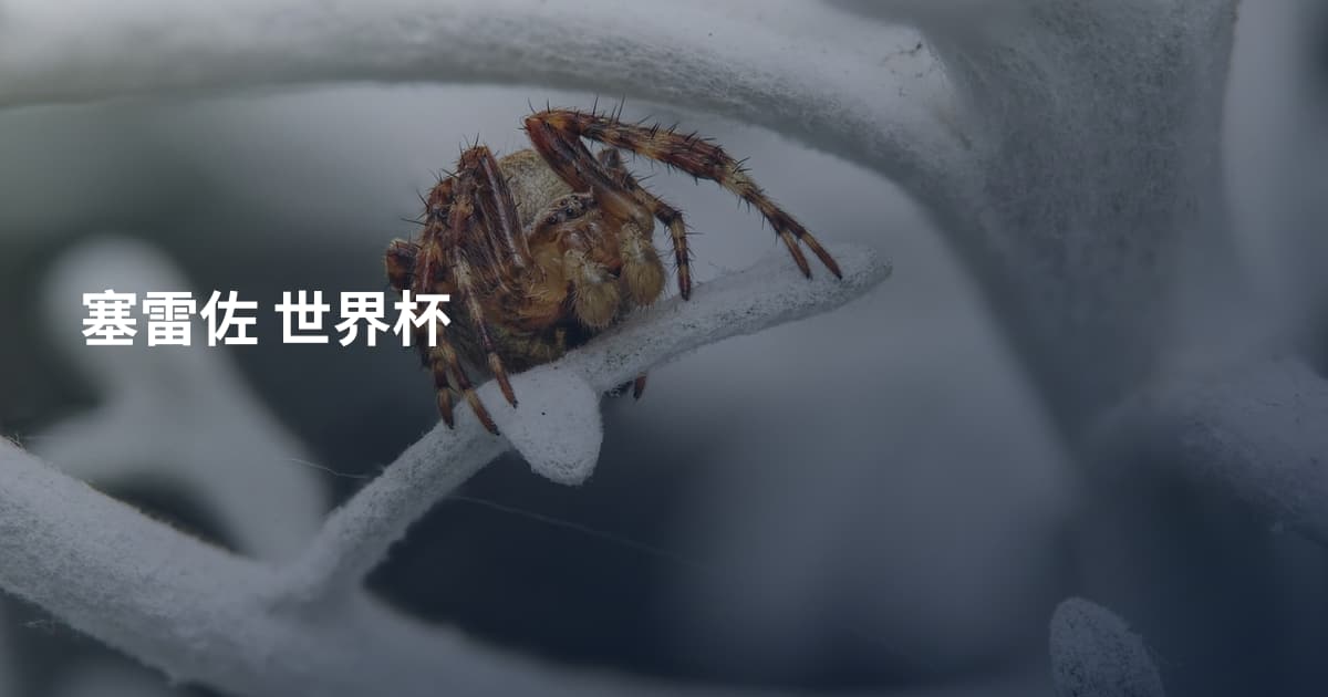 塞雷佐 世界杯