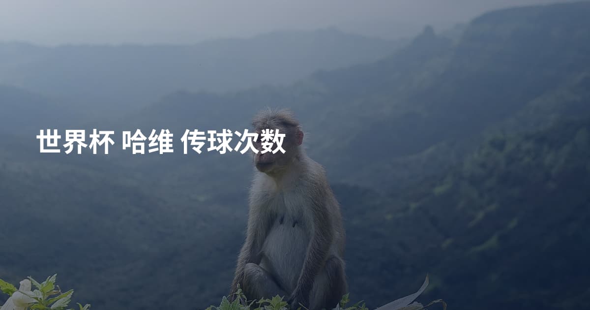 世界杯 哈维 传球次数