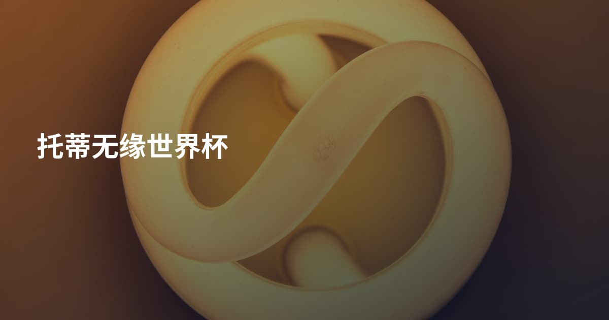 托蒂无缘世界杯