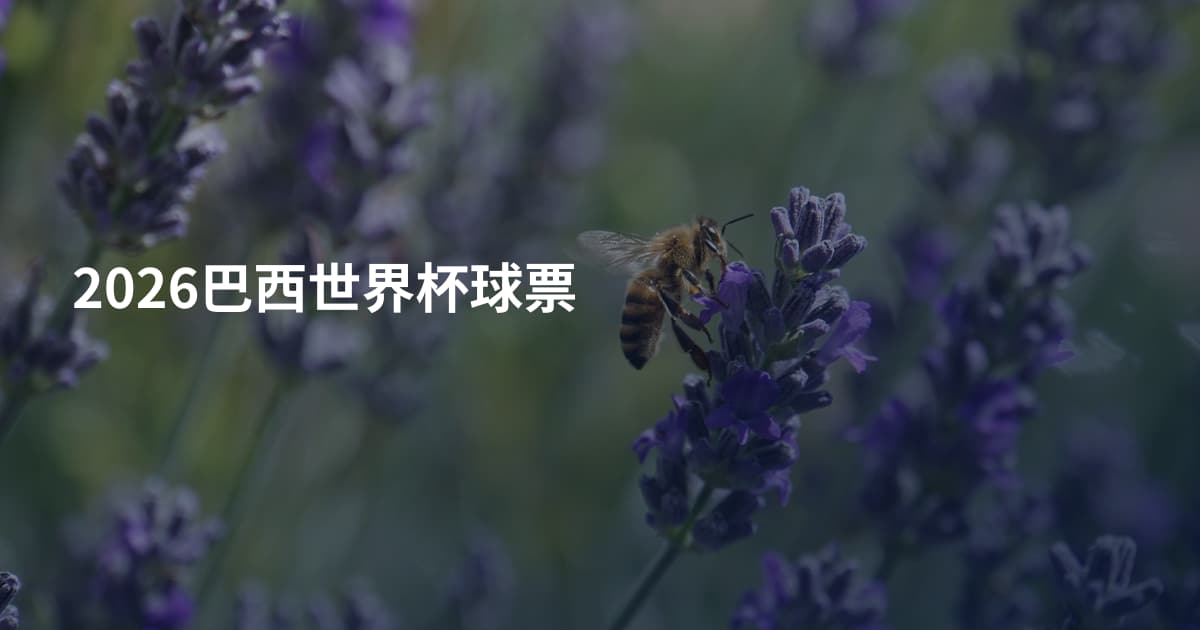 2026巴西世界杯球票