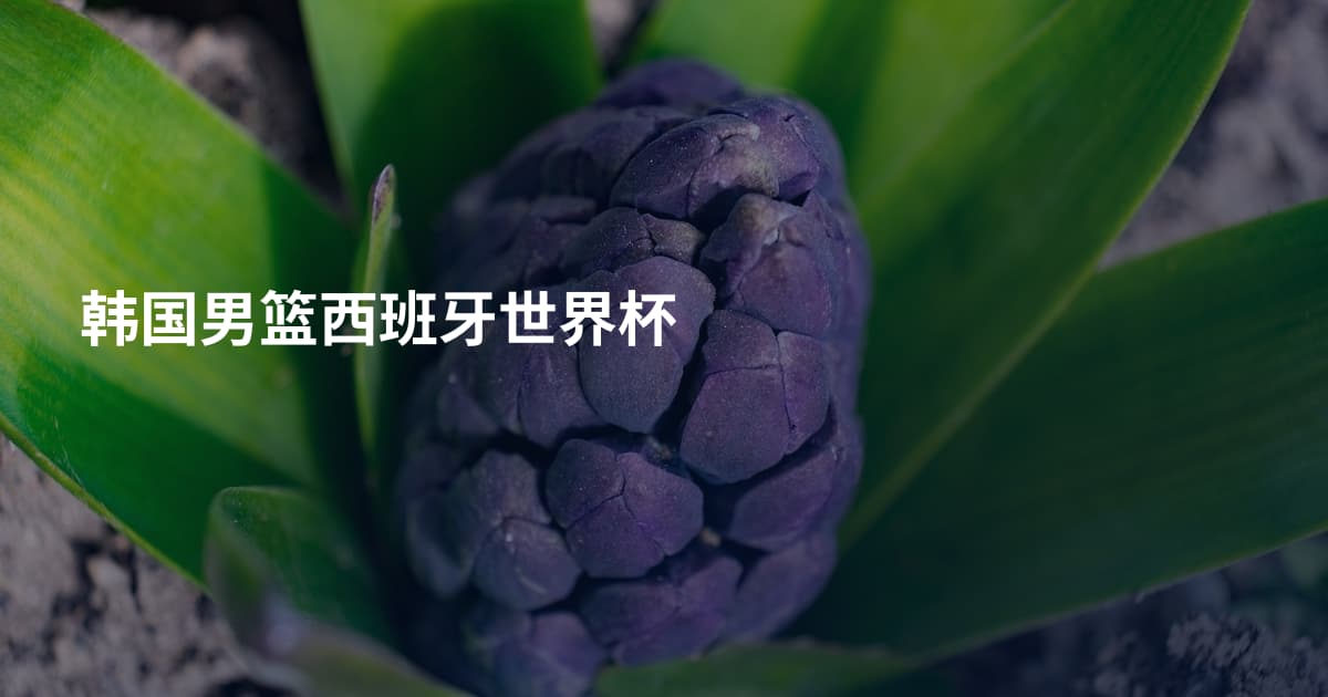 韩国男篮西班牙世界杯