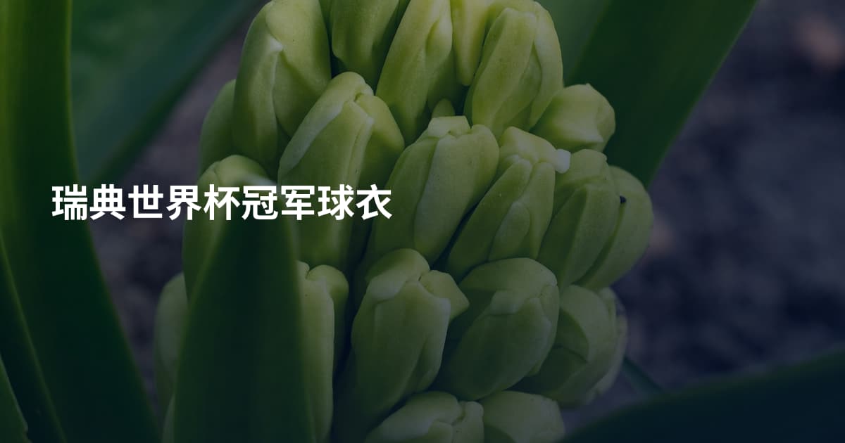 瑞典世界杯冠军球衣