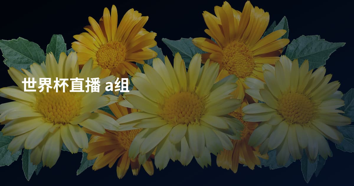 世界杯直播 a组