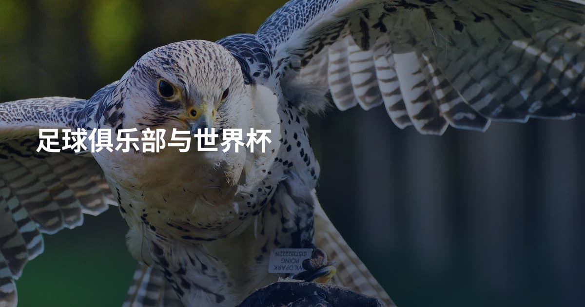 足球俱乐部与世界杯