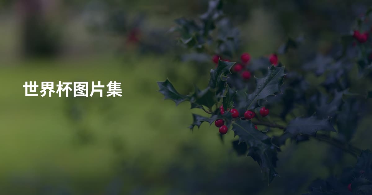 世界杯图片集