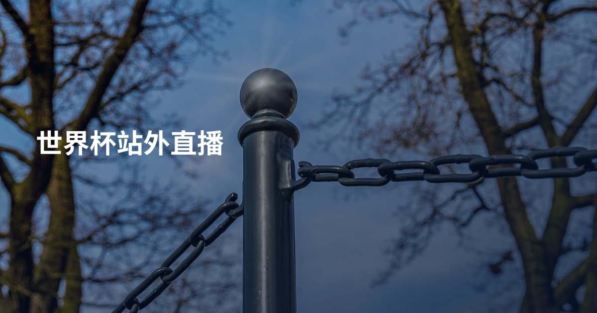 世界杯站外直播