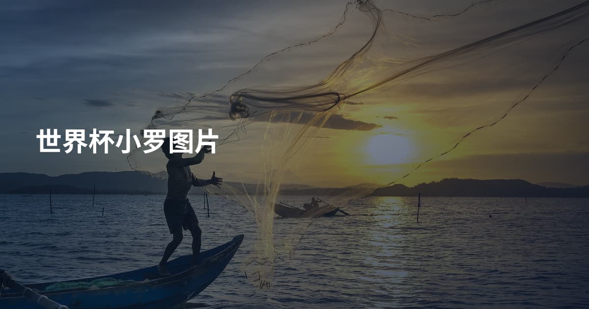 世界杯小罗图片