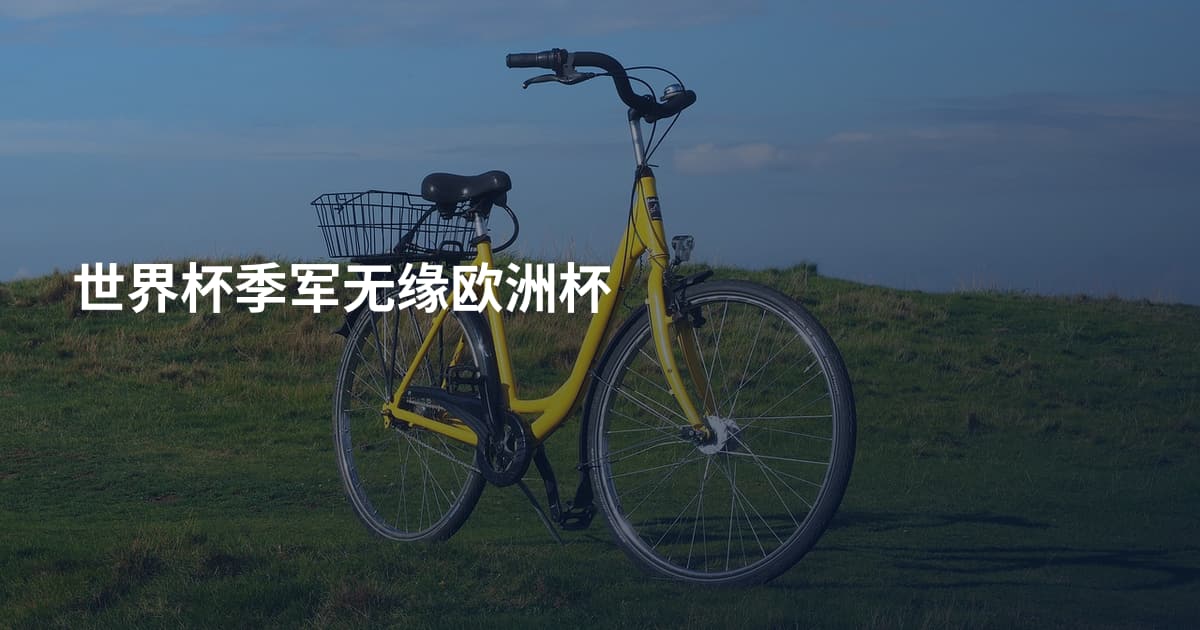 世界杯季军无缘欧洲杯