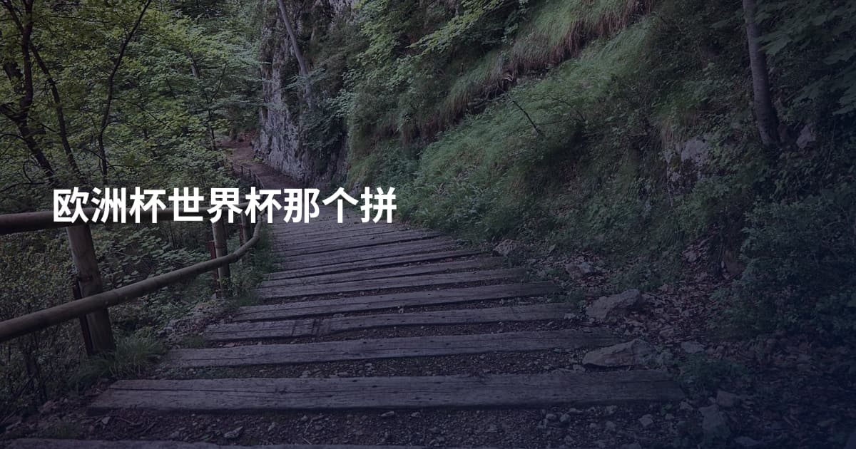 欧洲杯世界杯那个拼