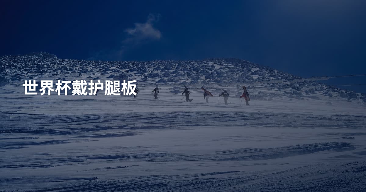 世界杯戴护腿板