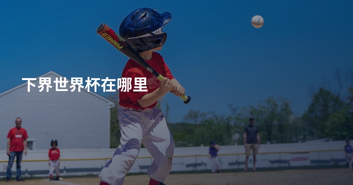 下界世界杯在哪里