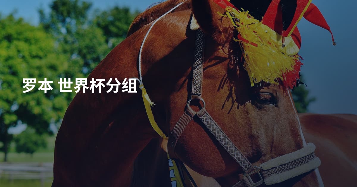 罗本 世界杯分组