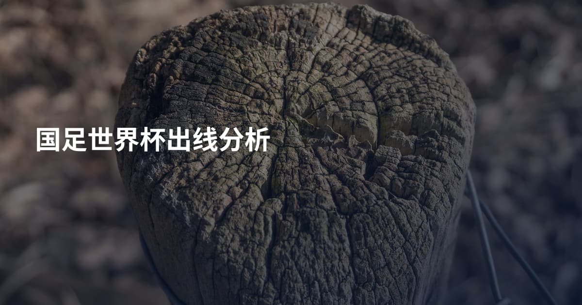 国足世界杯出线分析