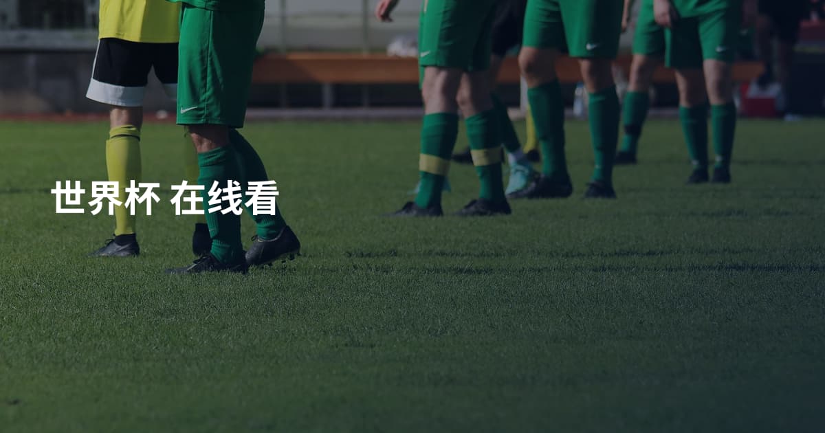 世界杯 在线看