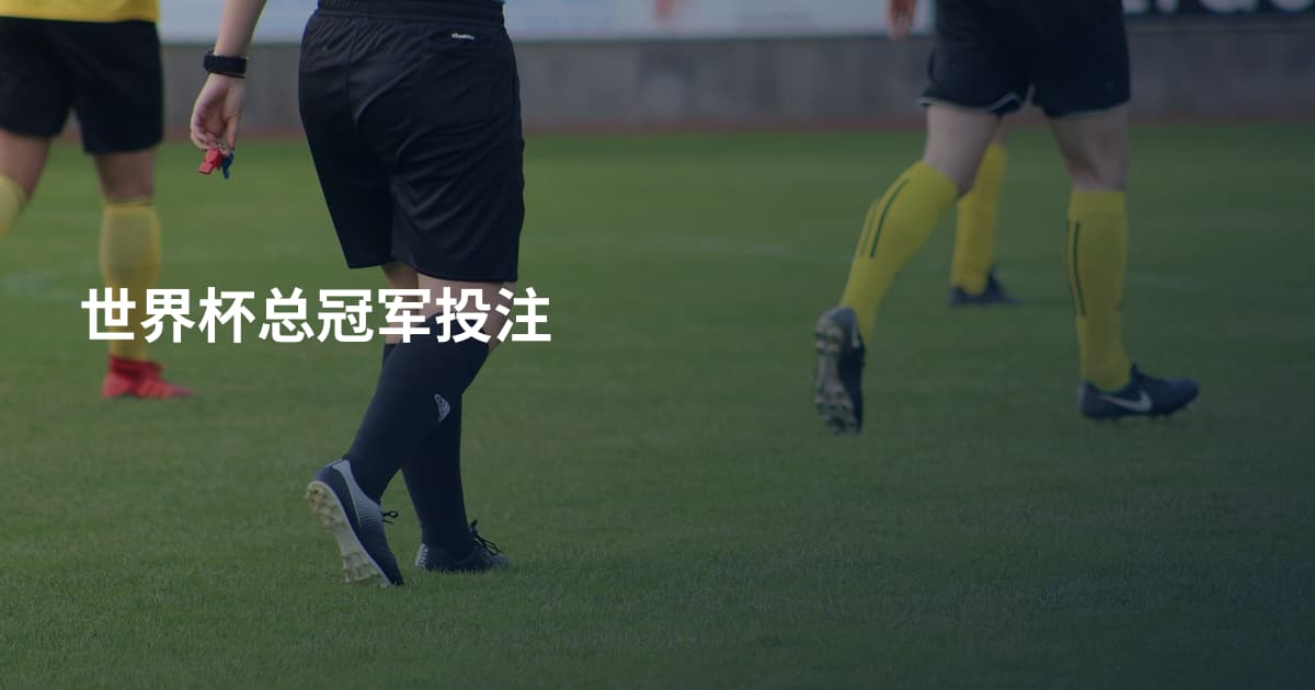 世界杯总冠军投注