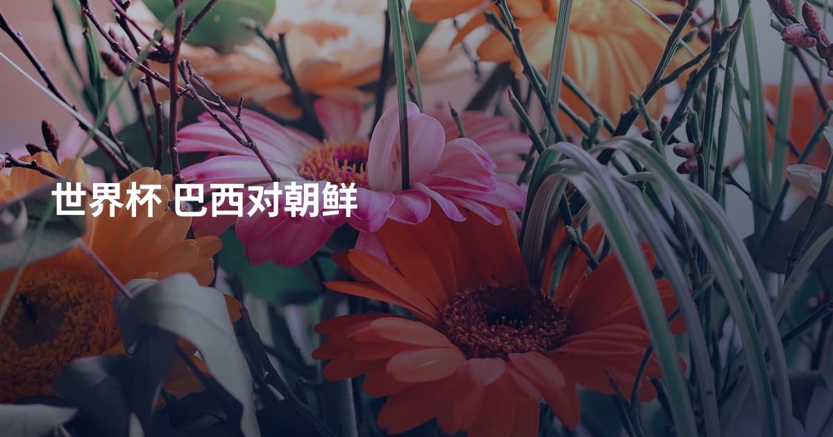世界杯 巴西对朝鲜