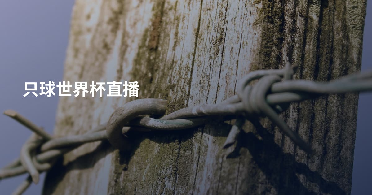 只球世界杯直播
