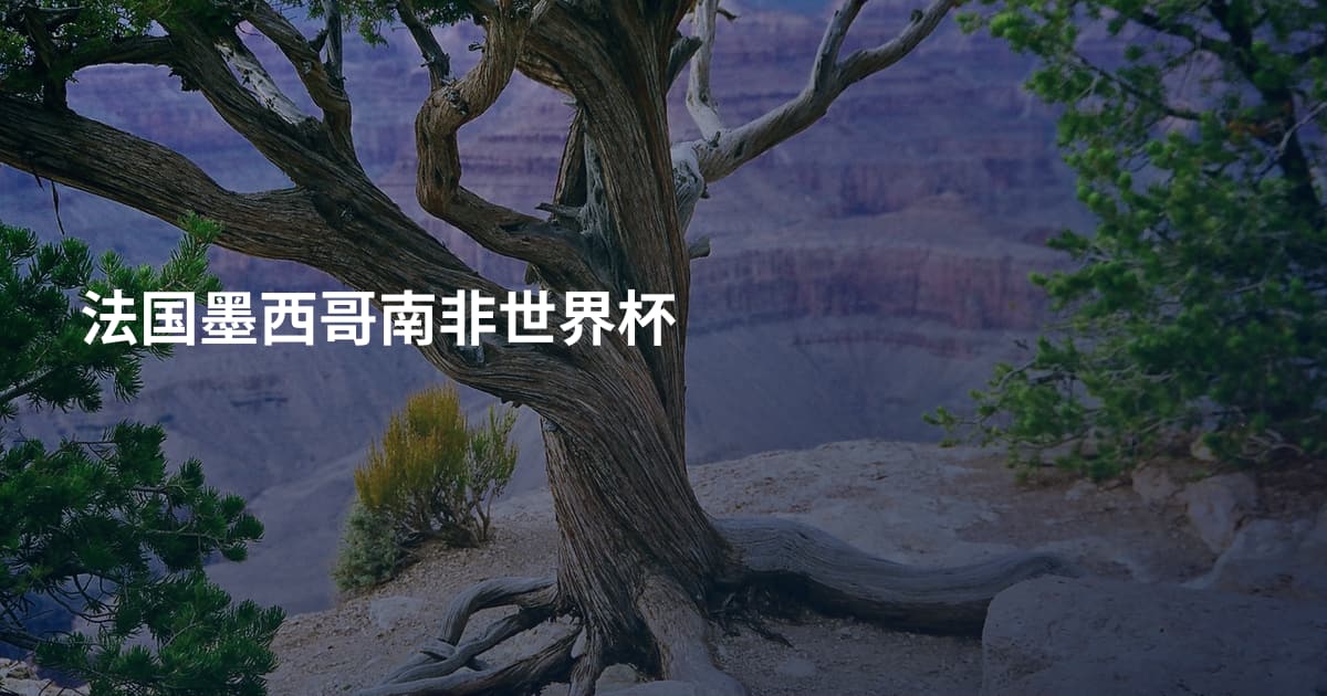 法国墨西哥南非世界杯