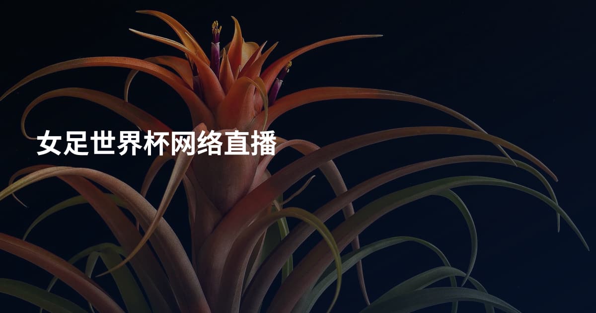 女足世界杯网络直播